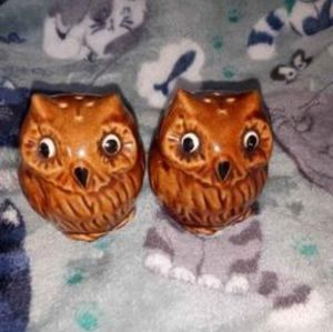 Vintage Owl Salt & Pepper Shakers